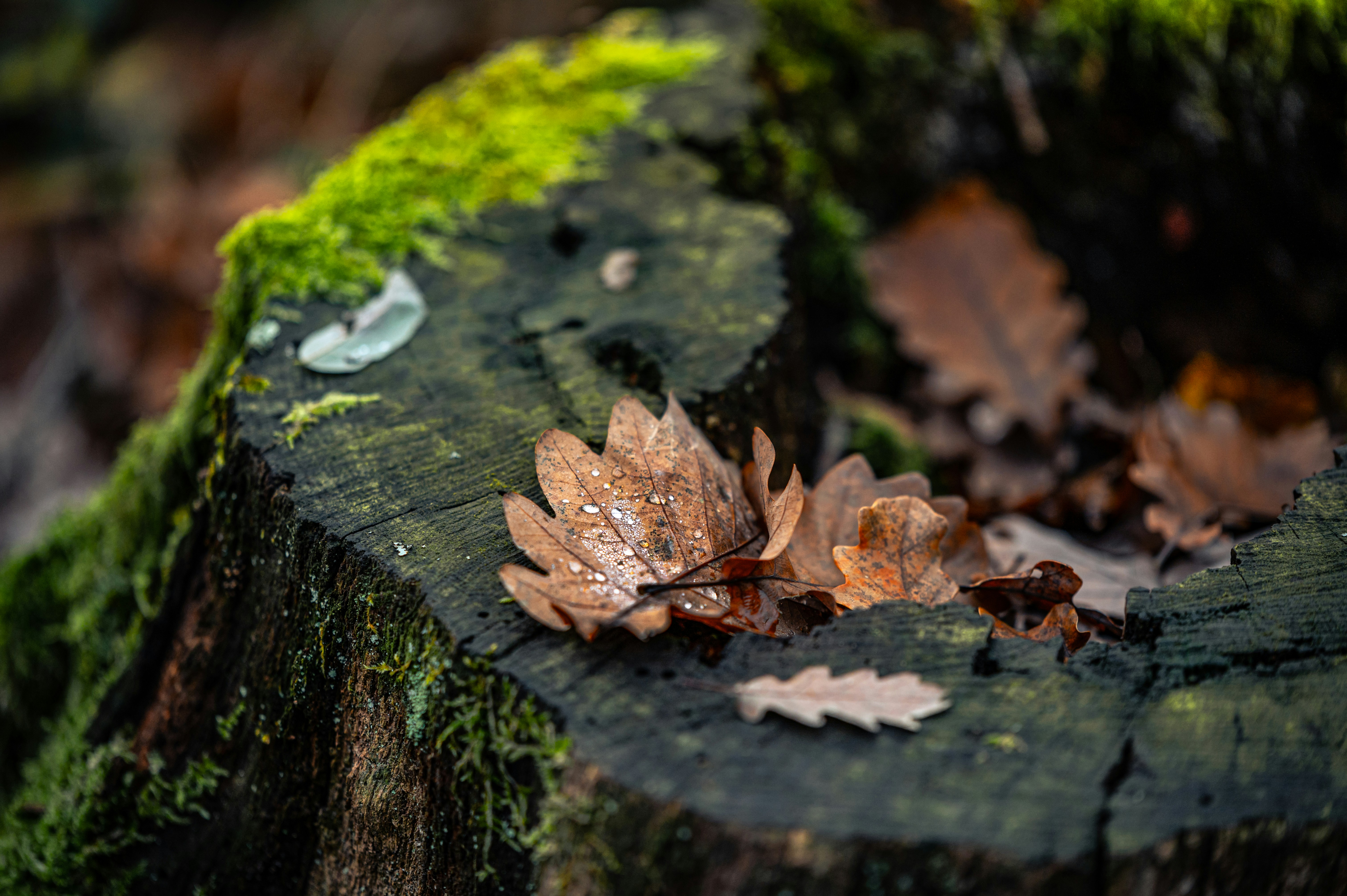 Photo by andreasbrun