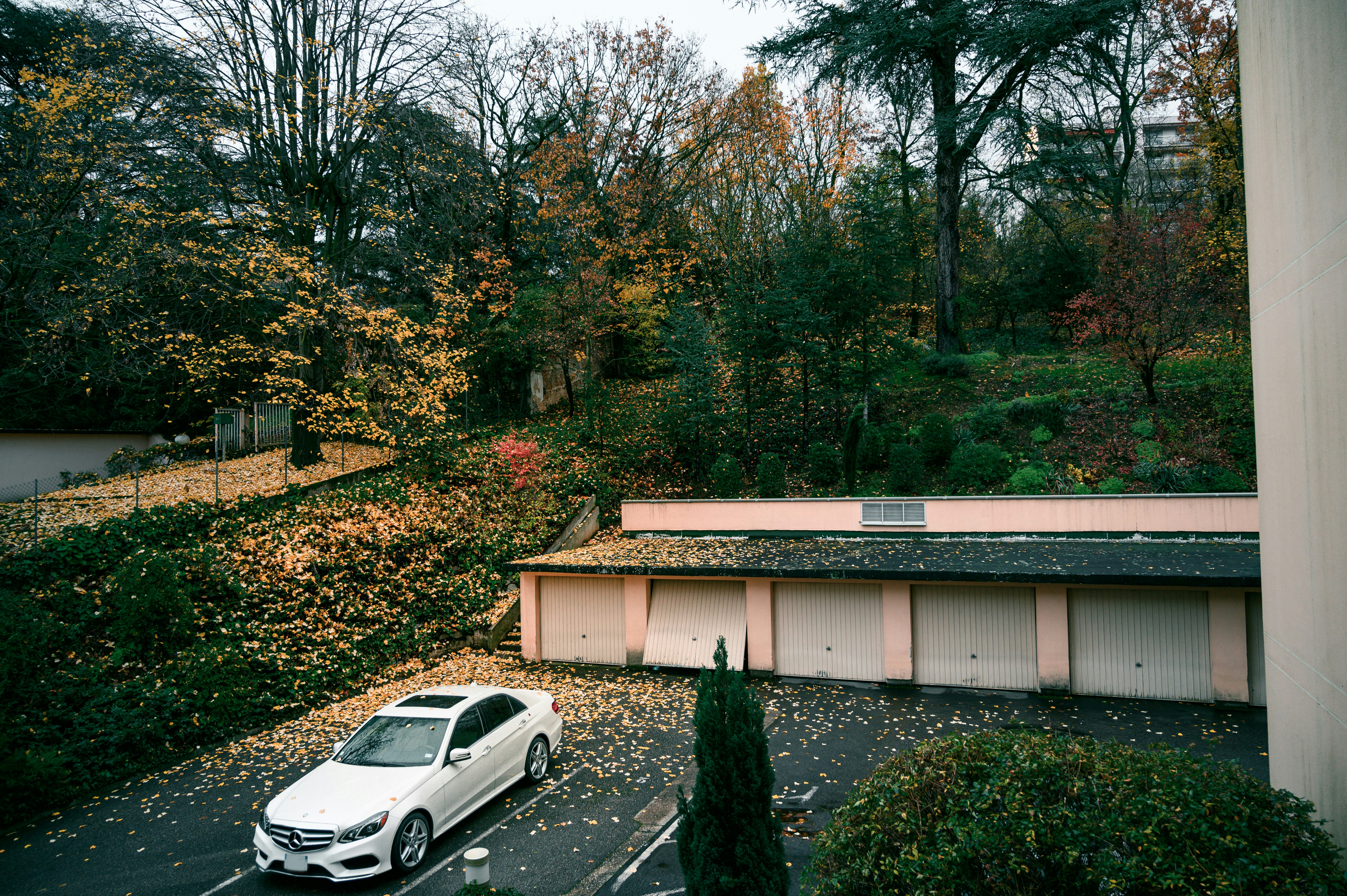 white sedan parked beside green trees during daytime