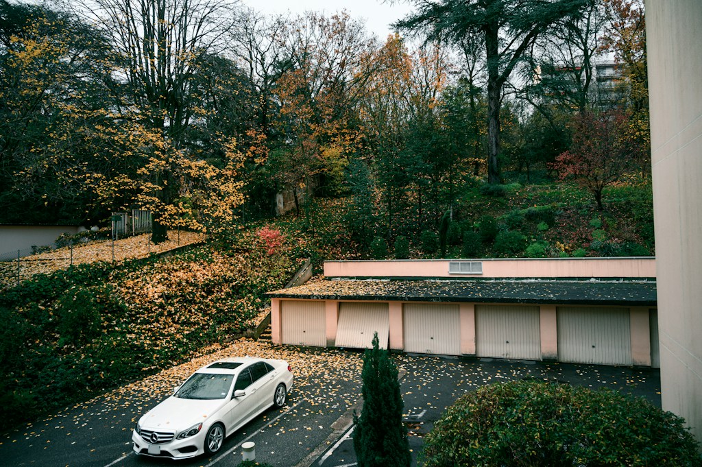 Motor Insurance Support