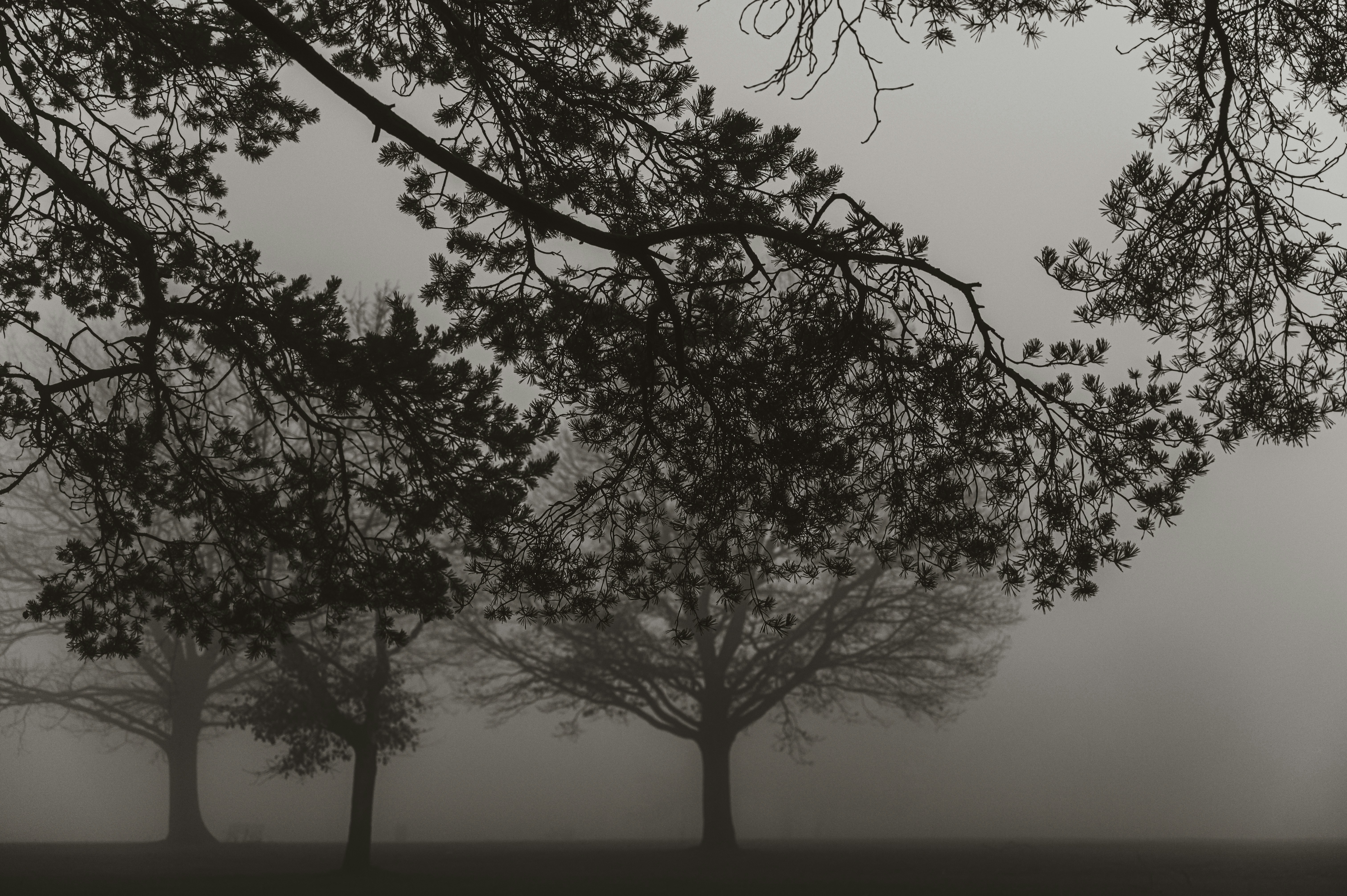 Photo by andreasbrun