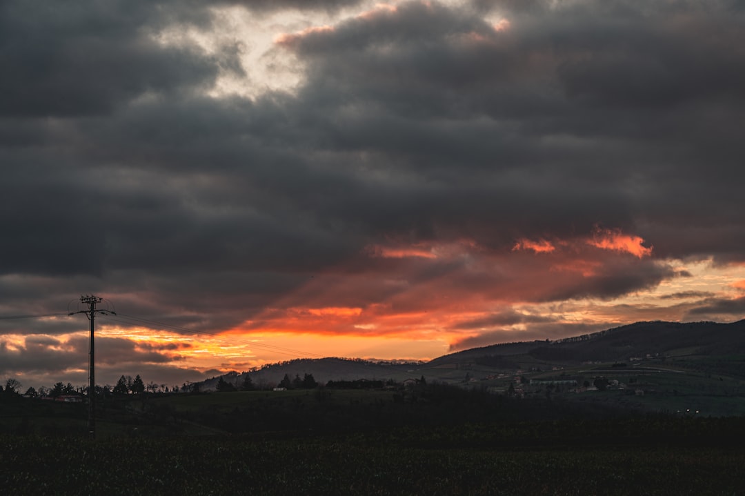 silhouette of trees under cloudy sky during sunset