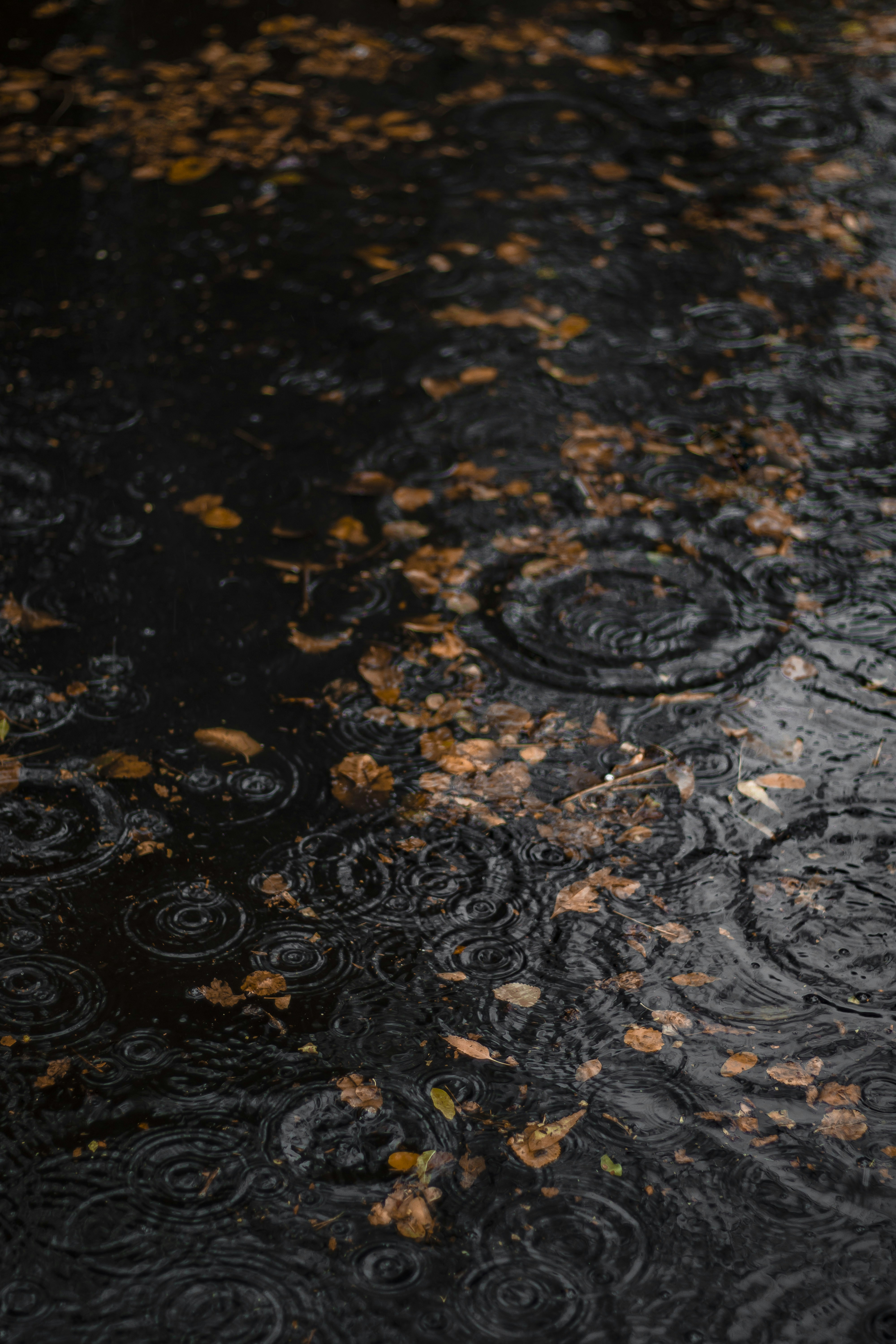 Photo by idinebrahimi