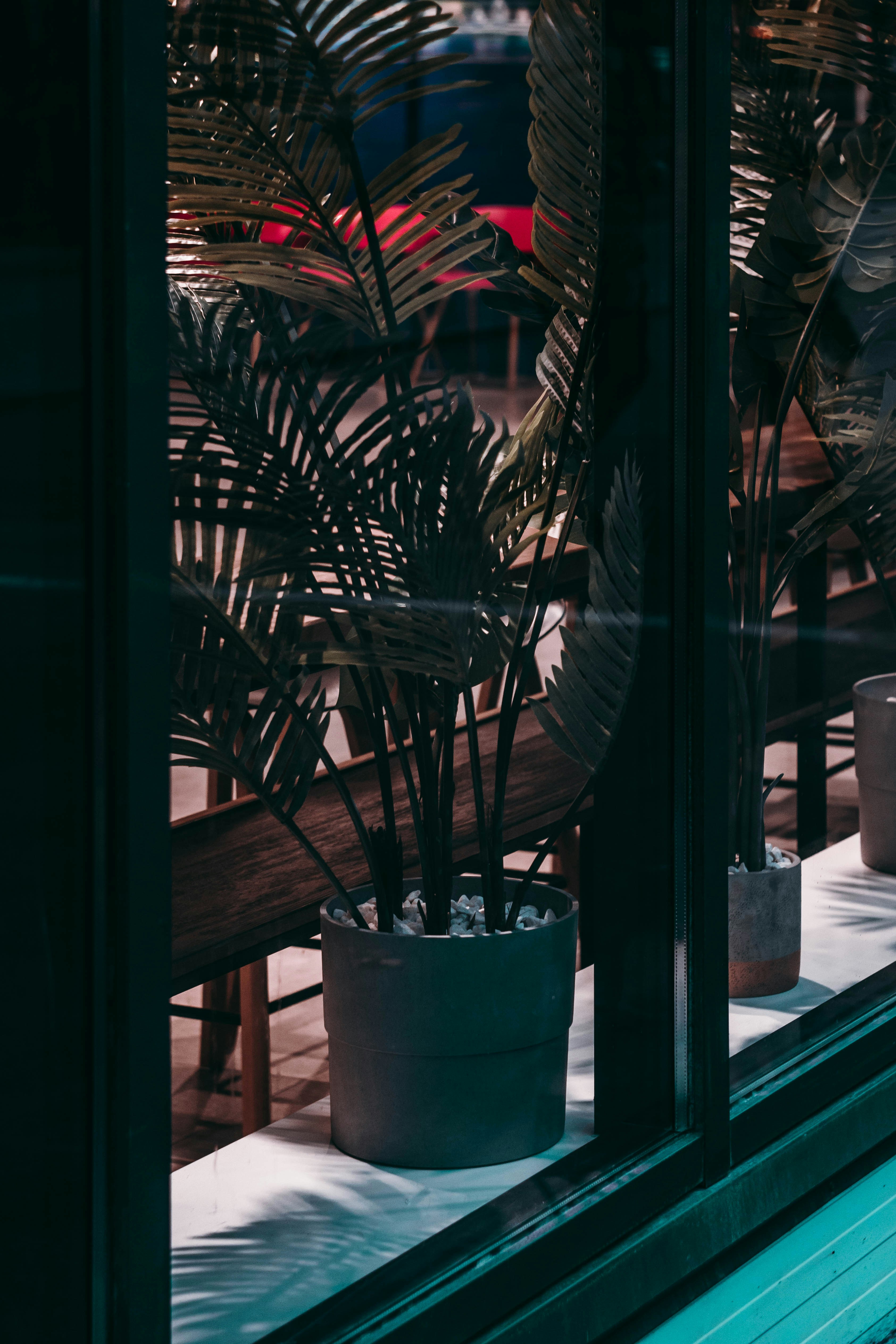 Photo by mind_n_soul_journey