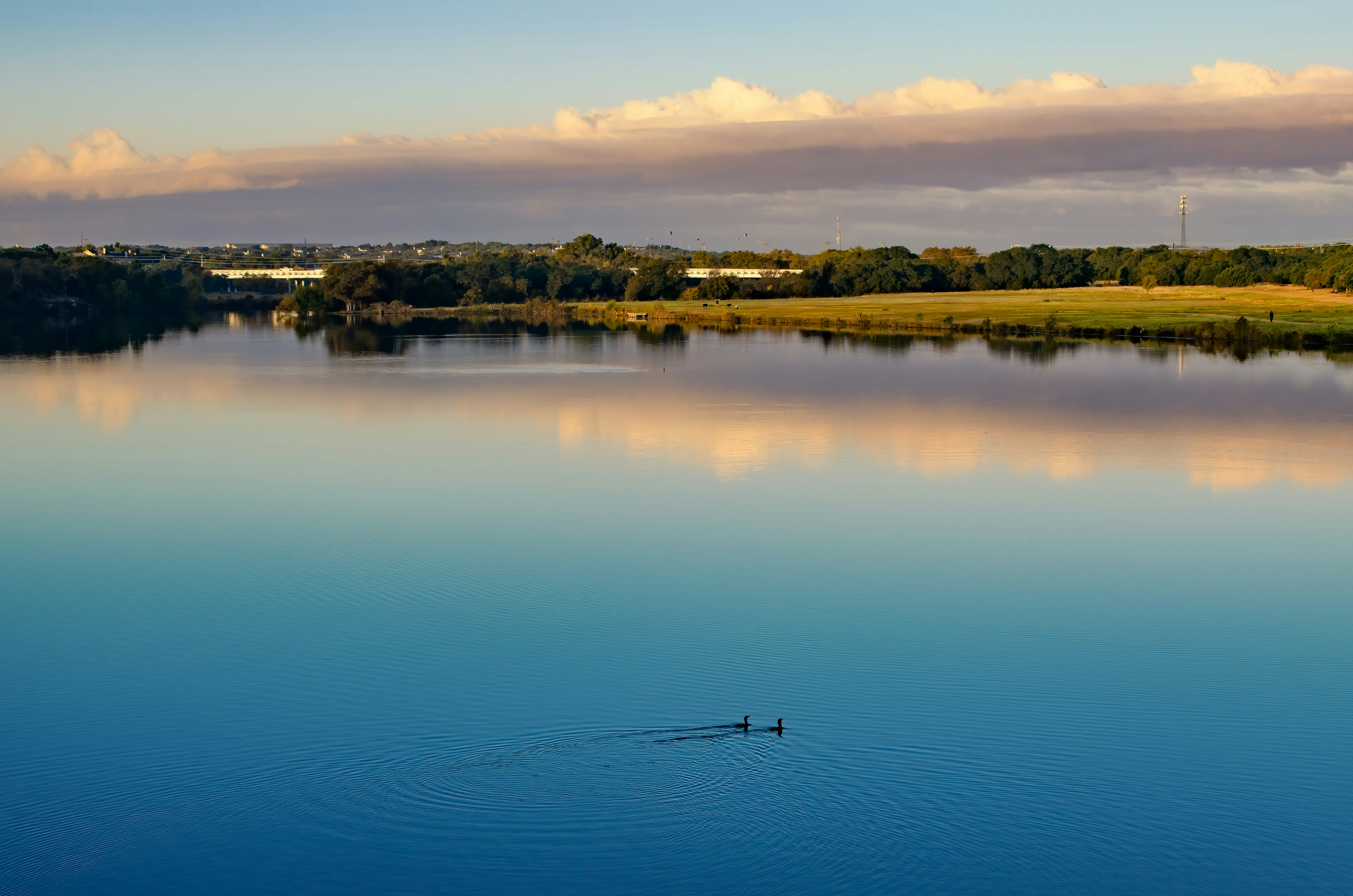 body of water near green trees during daytime