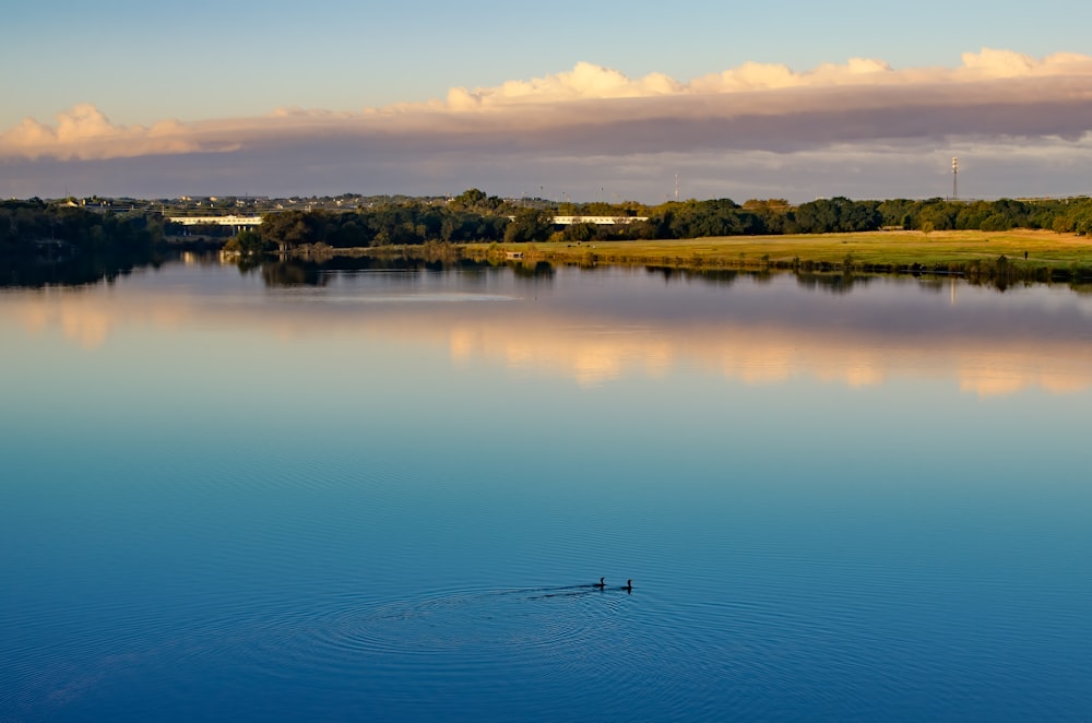 body of water near green trees during daytime