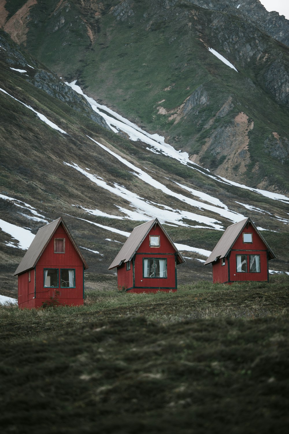 낮에는 눈 덮인 산 근처의 푸른 잔디밭에 있는 갈색 목조 주택