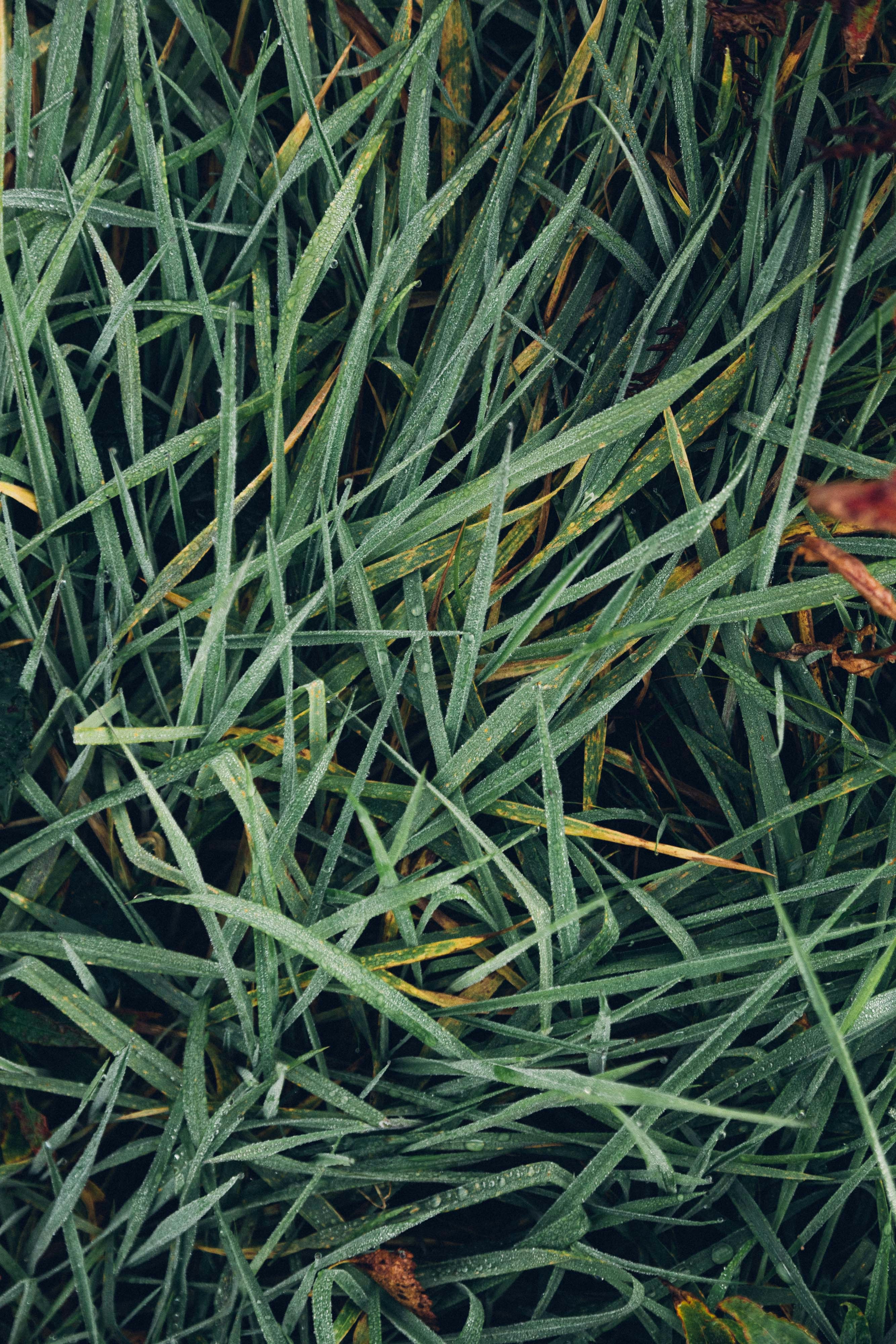 Photo by mikejerskine