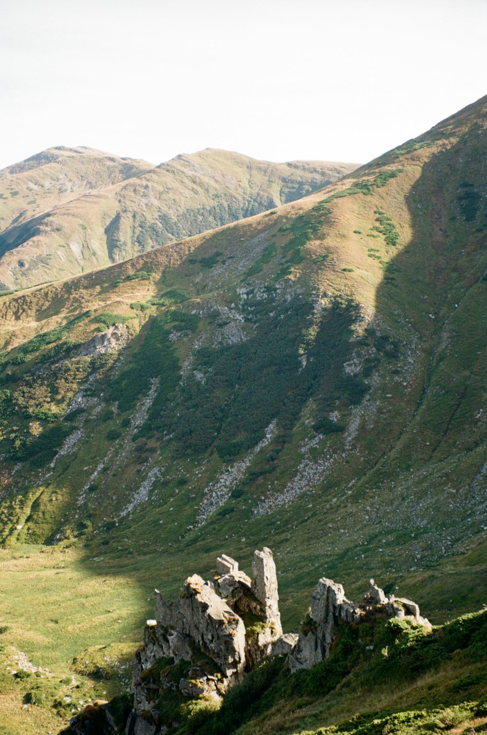 green grass field and mountain