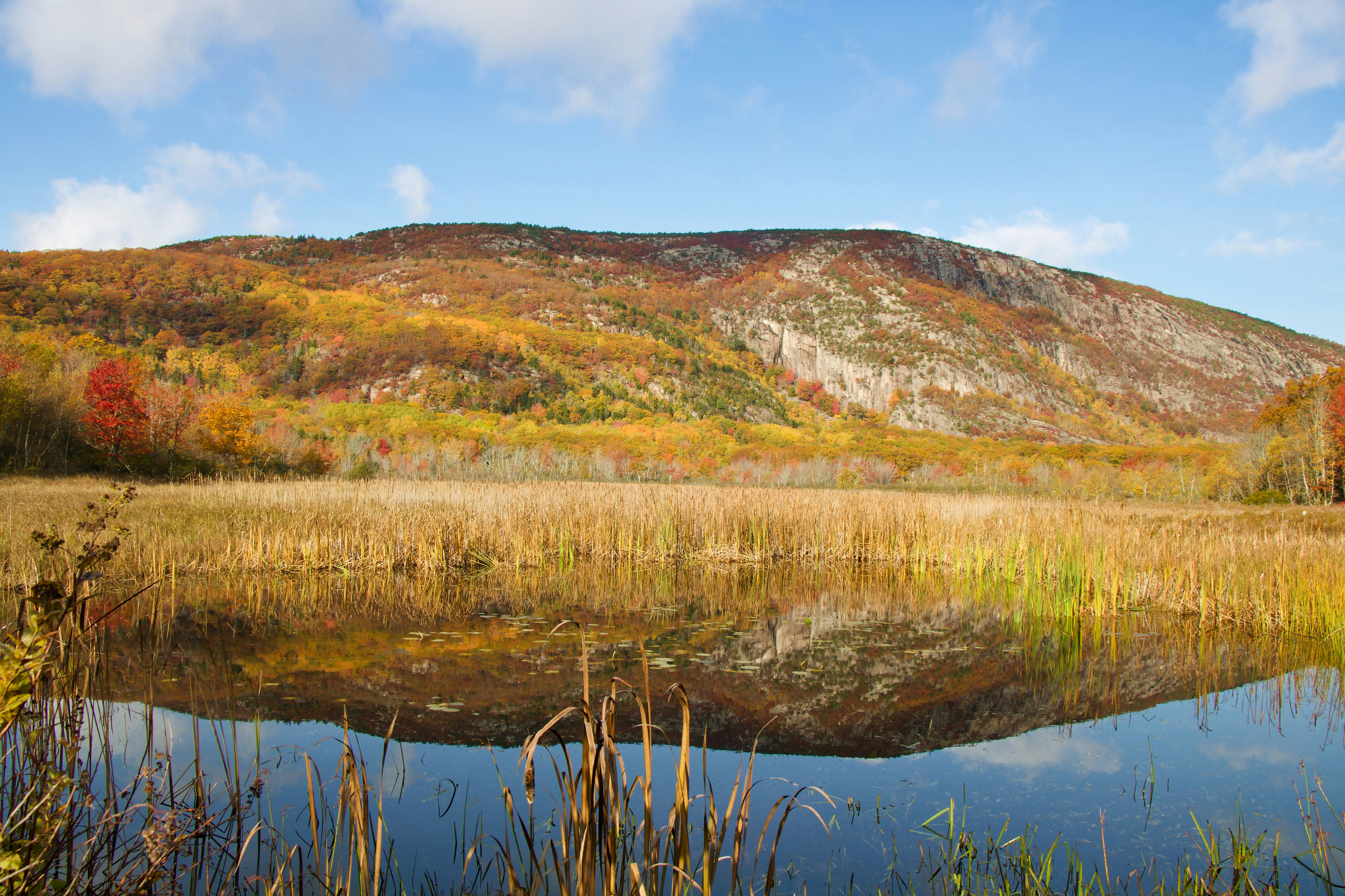 Photo by rose_thayer