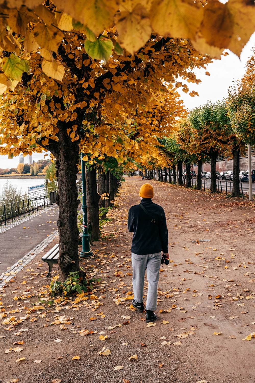 man in black hoodie walking on pathway between trees during daytime