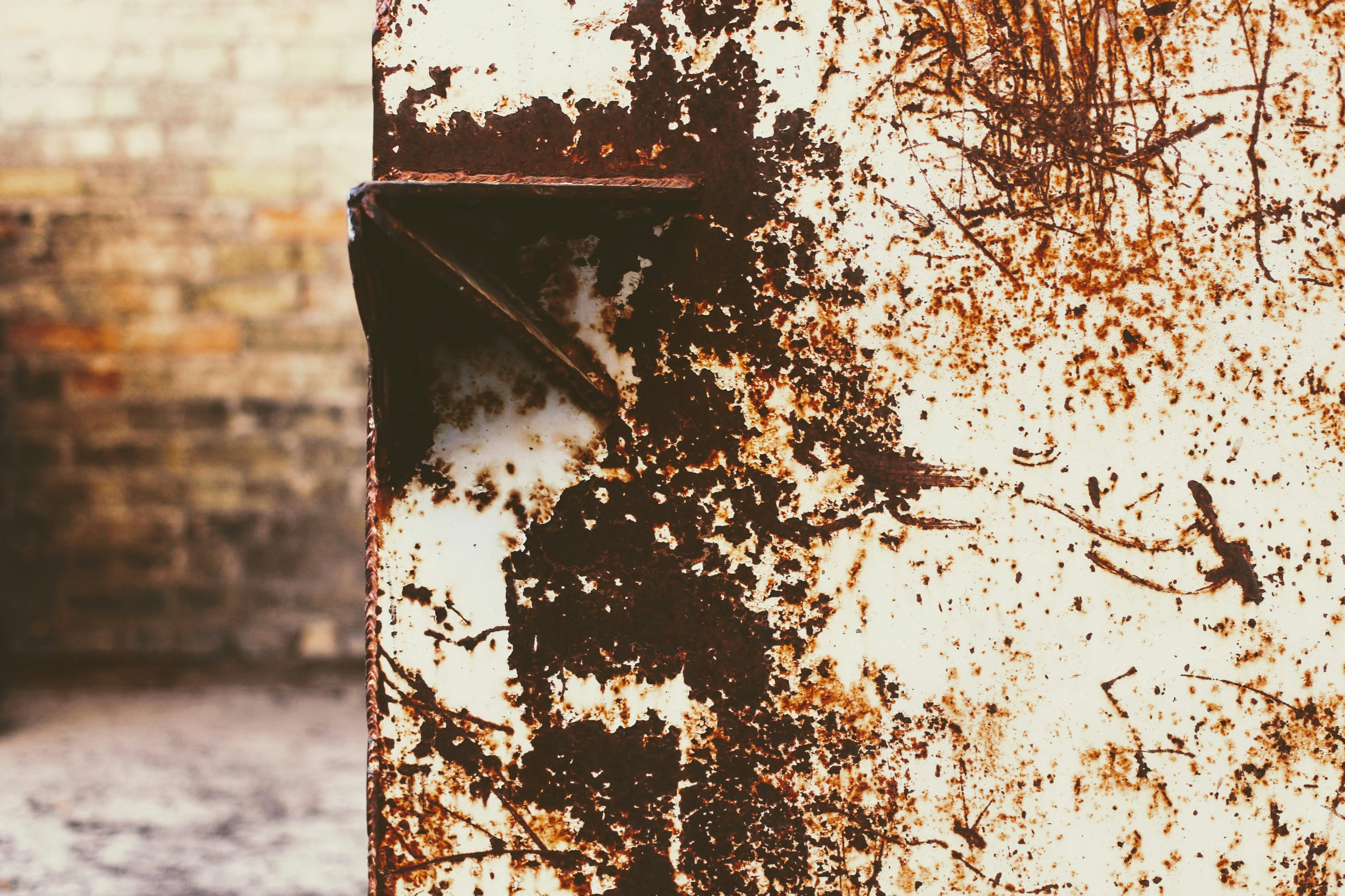 Photo by joshua_hoehne