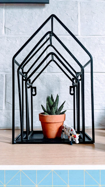An industrial metal plant stand with a matte black finish showcasing a blooming succulent.