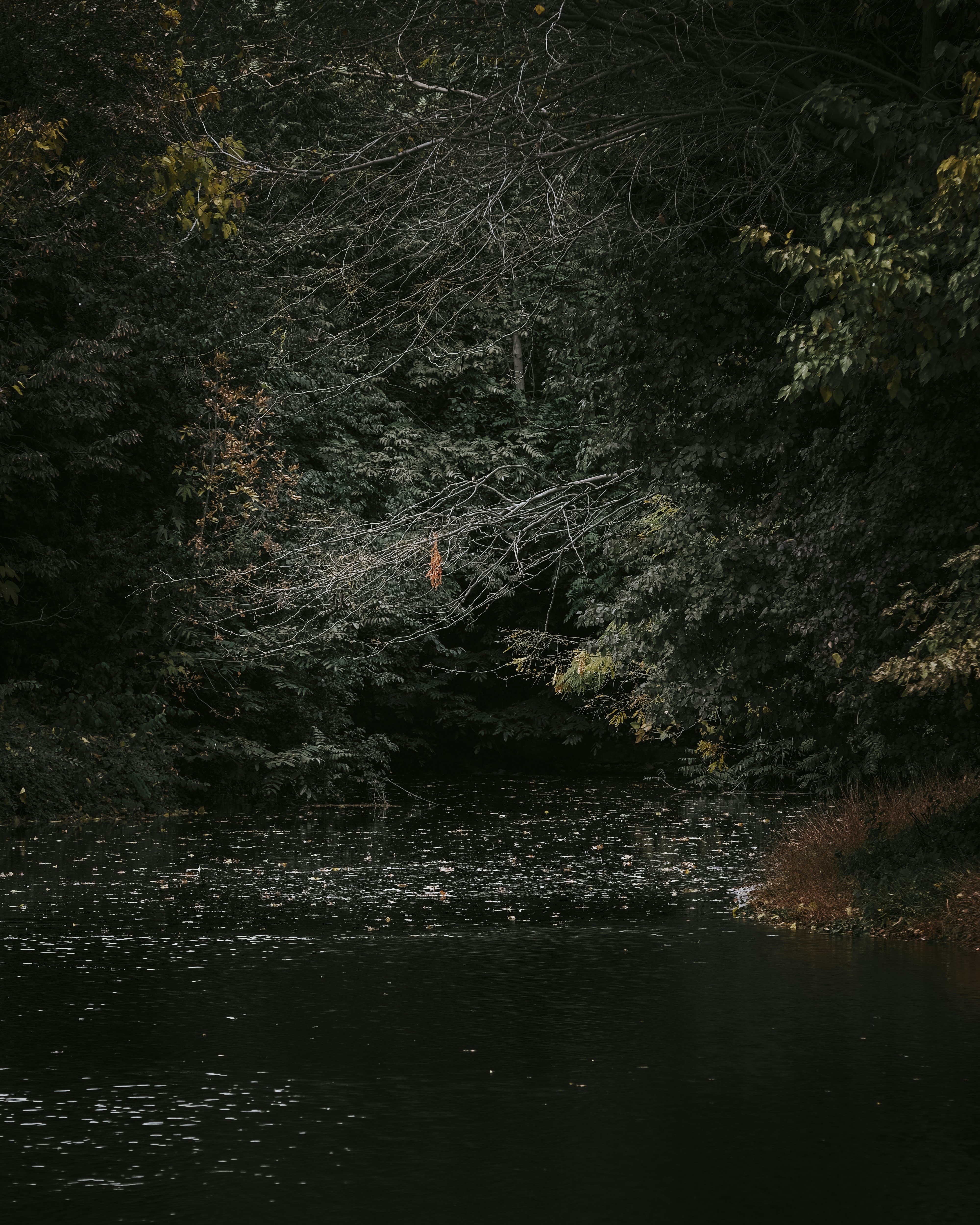 Photo by sammoghadam