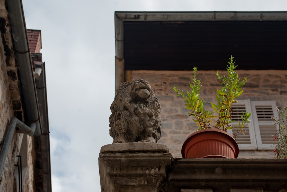 gray concrete statue of man