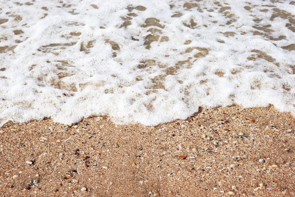 brown sand near body of water during daytime