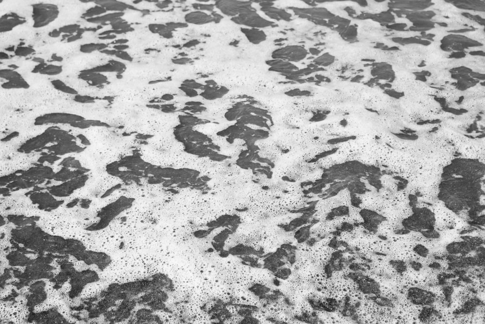 grayscale photo of wet sand