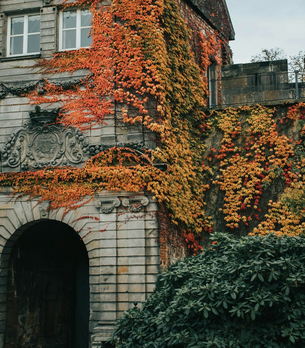 brown brick building with green plants