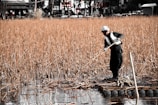 A person in protective gear stands on a small raft amidst tall, dry reeds on a body of water. The background includes blurred structures and trees, indicating an outdoor, possibly rural setting.
