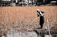 A person in protective gear stands on a small raft amidst tall, dry reeds on a body of water. The background includes blurred structures and trees, indicating an outdoor, possibly rural setting.