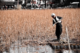 A person in protective gear stands on a small raft amidst tall, dry reeds on a body of water. The background includes blurred structures and trees, indicating an outdoor, possibly rural setting.