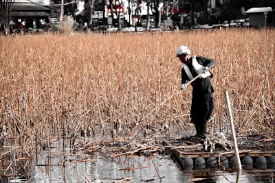 A person in protective gear stands on a small raft amidst tall, dry reeds on a body of water. The background includes blurred structures and trees, indicating an outdoor, possibly rural setting.