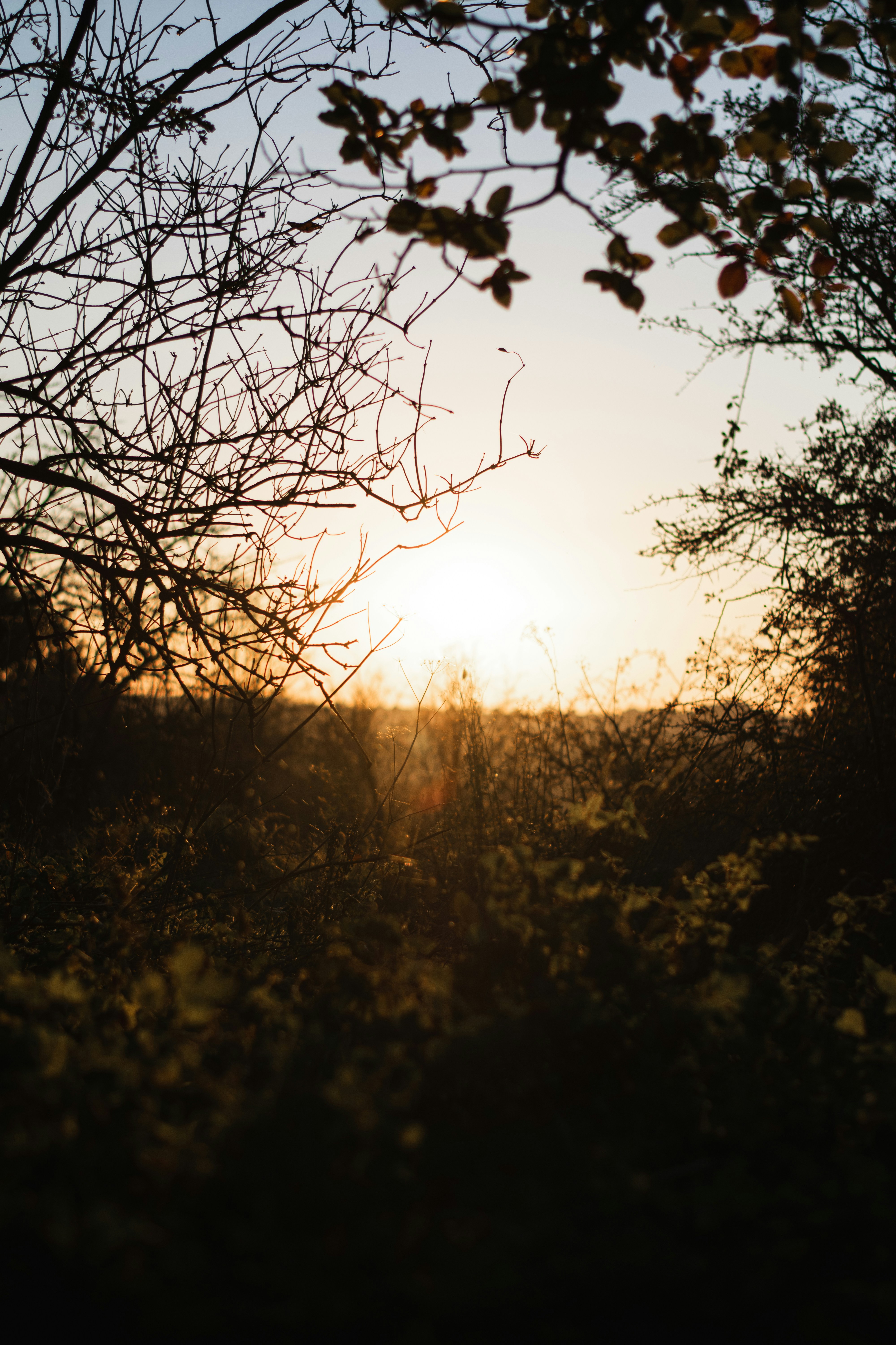 Photo by itsrobcoates