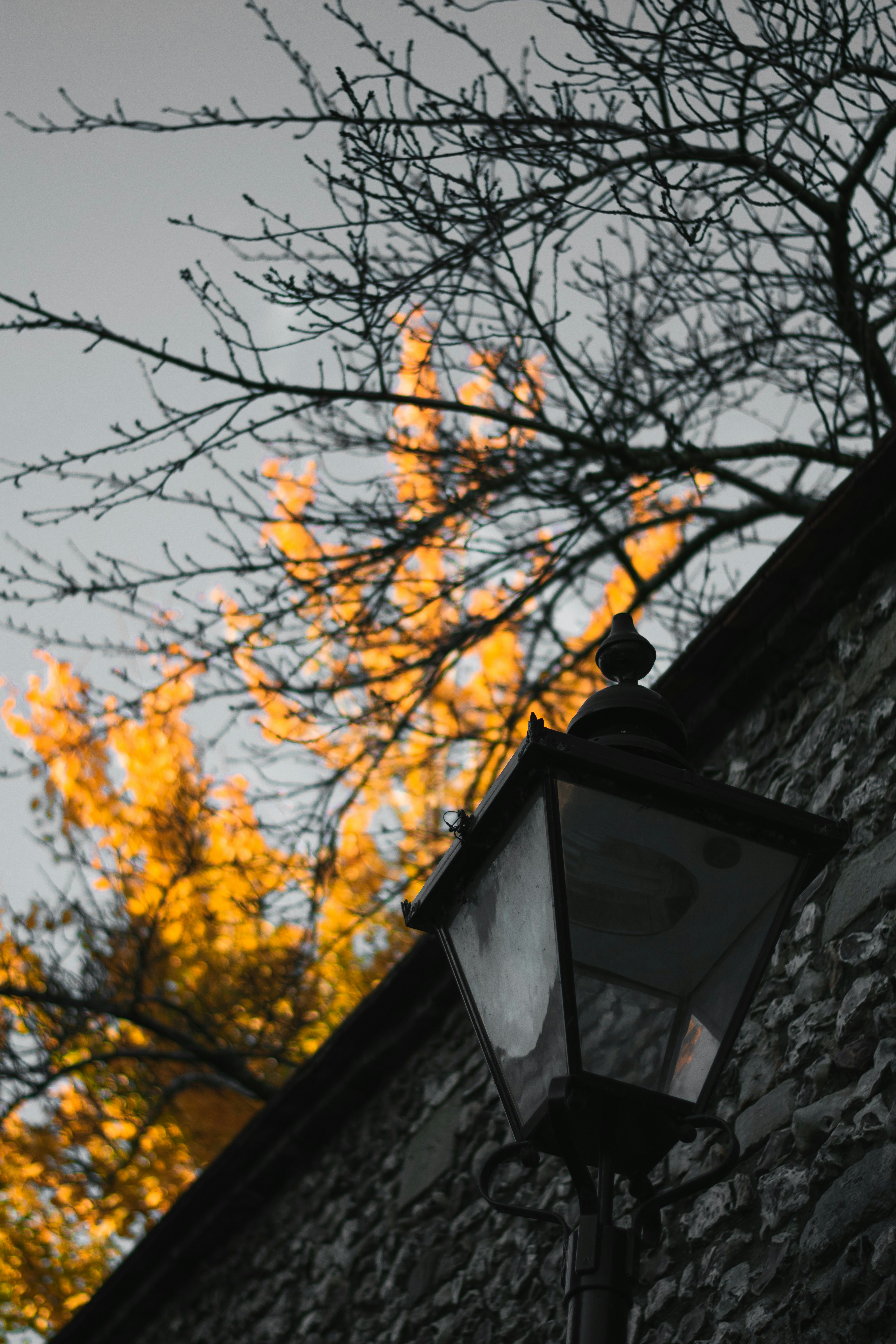Photo by itsrobcoates