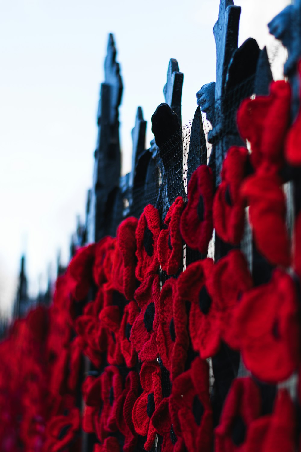 red flowers in tilt shift lens