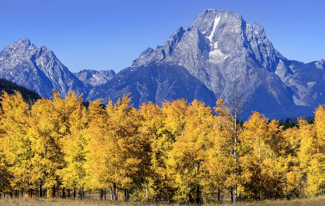 Chasing Fall Foliage: The Best European Destinations for a November… — Chasing Fall Foliage, photo 5