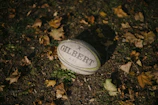 Close-up of rugby boots and ball resting on freshly cut grass under morning light