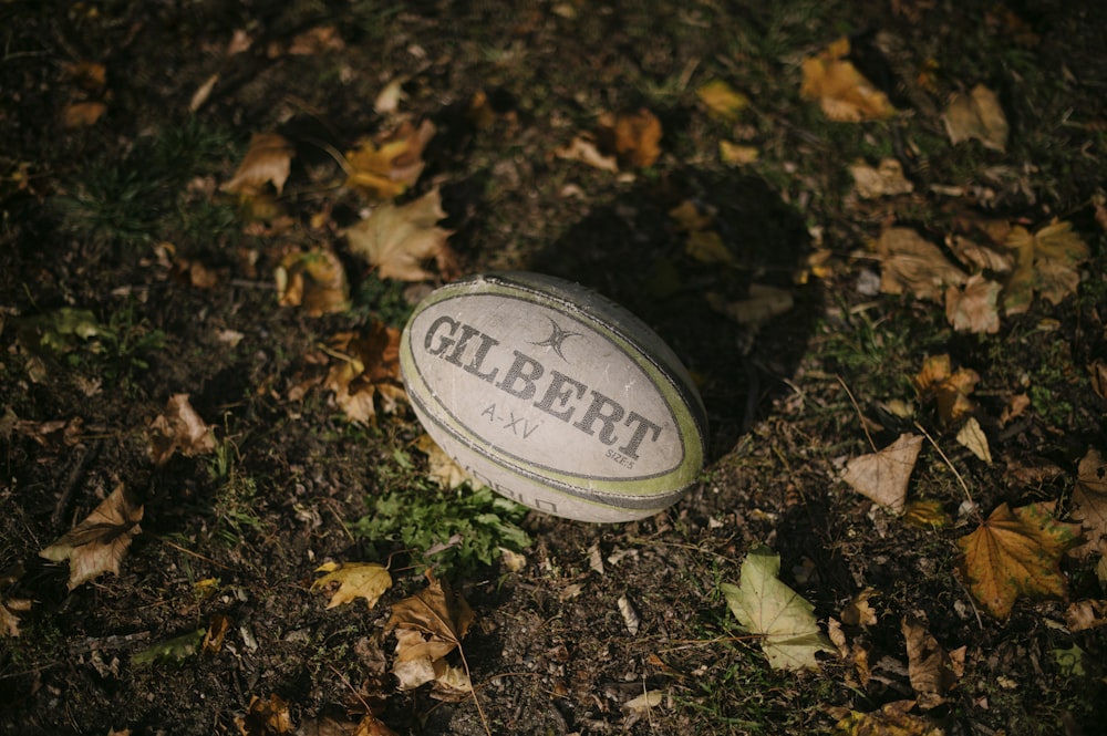 un ballon de rugby posé sur le sol entouré de feuilles