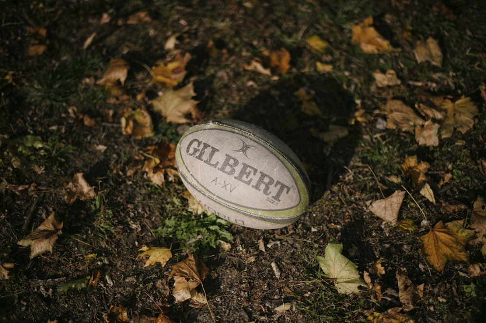 a rugby ball laying on the ground surrounded by leaves