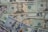 20 us dollar bill