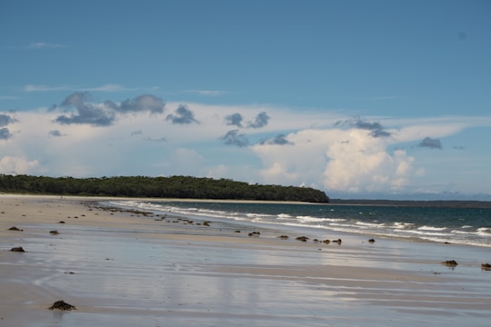 blue sea under blue sky during daytime