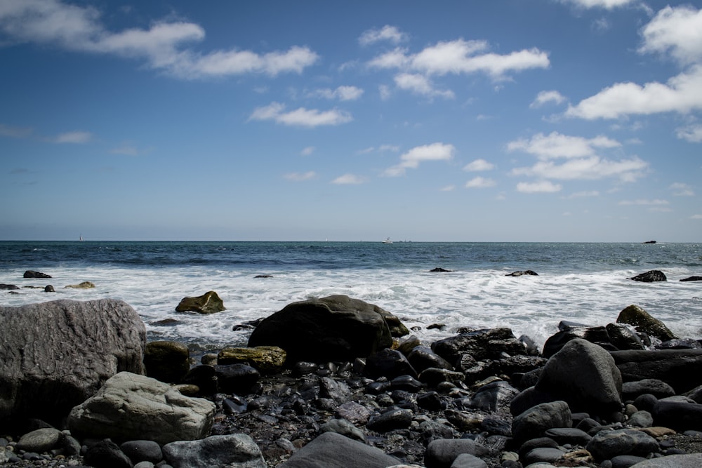 rocky shore under blue sky during daytime