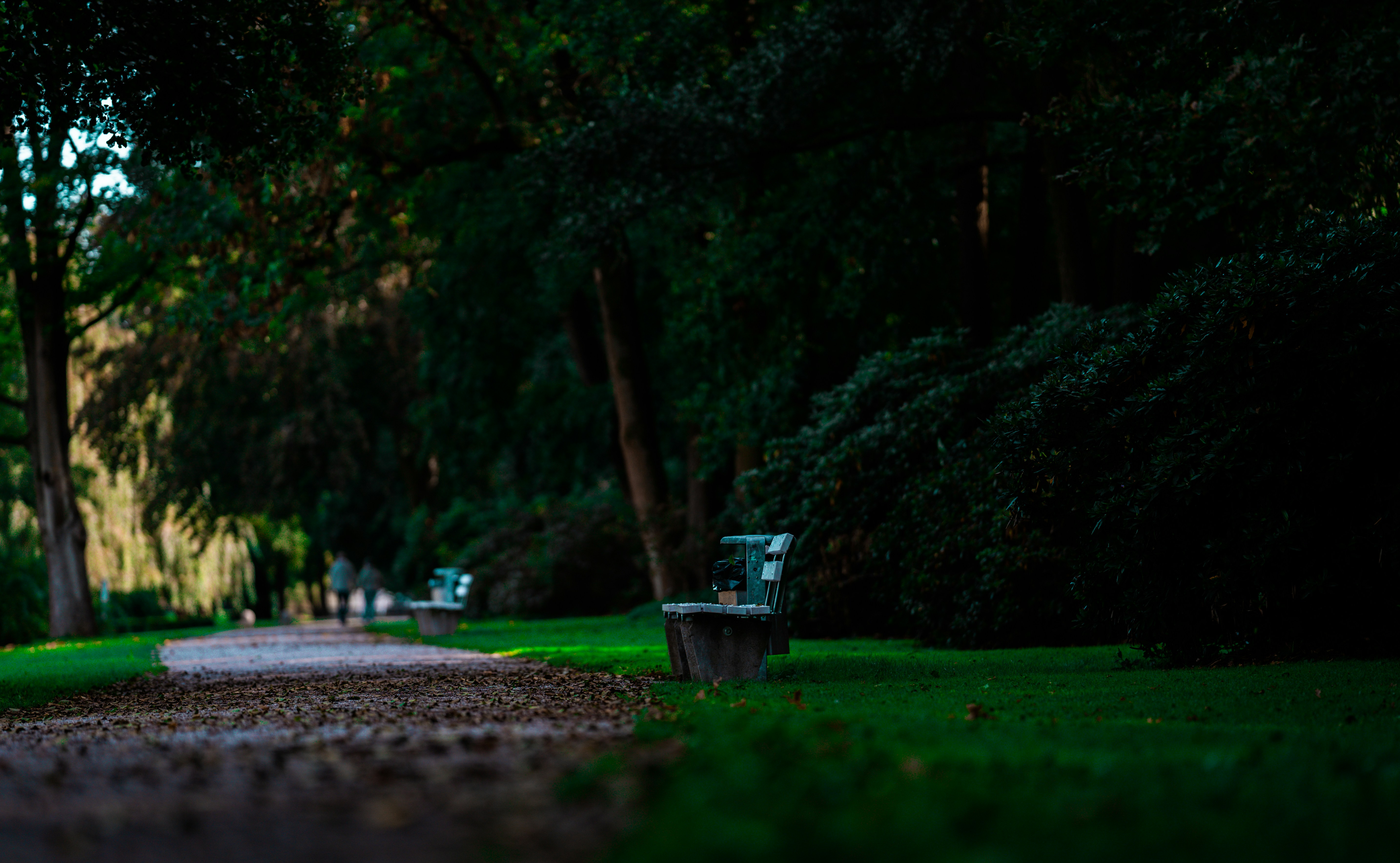 Photo by omarvellous14