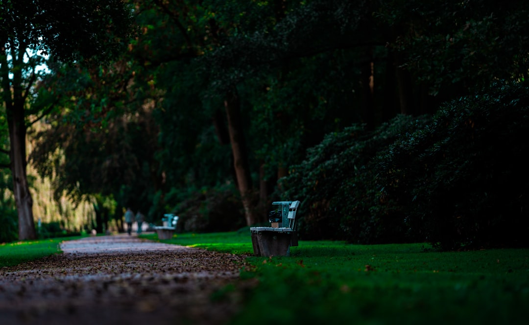 green trash bin on gray concrete pathway