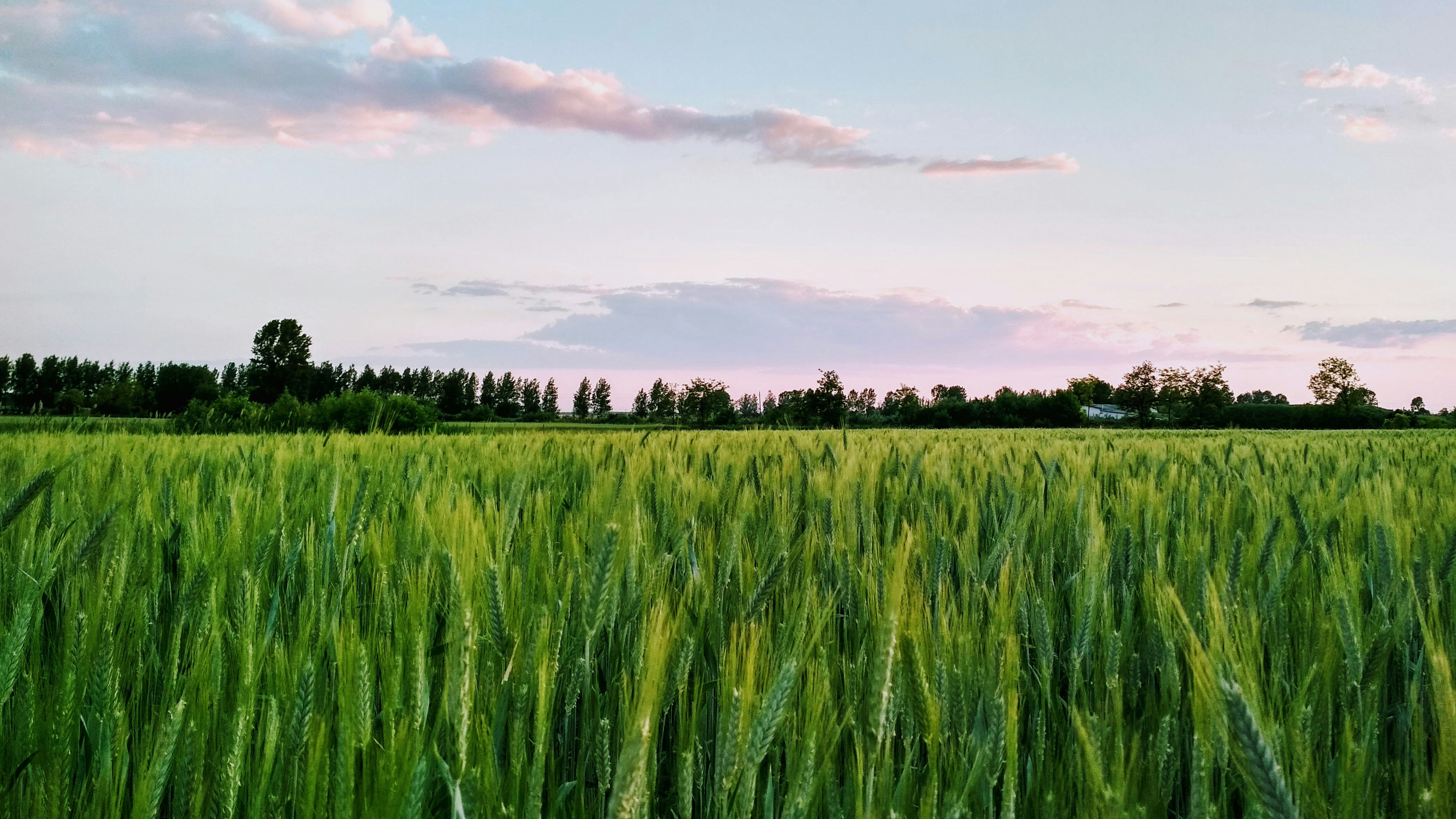 Photo by 28081995_love