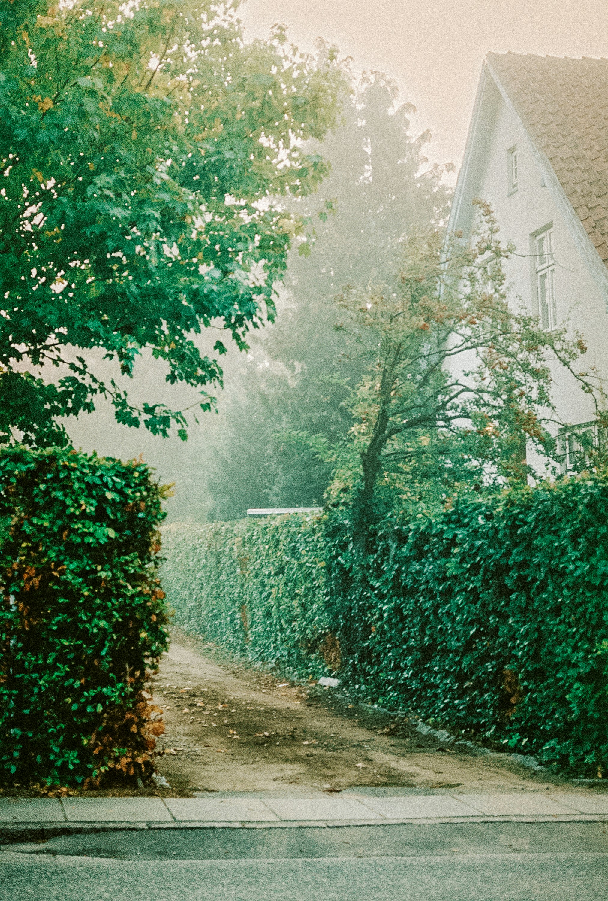 Photo by joanacabreu