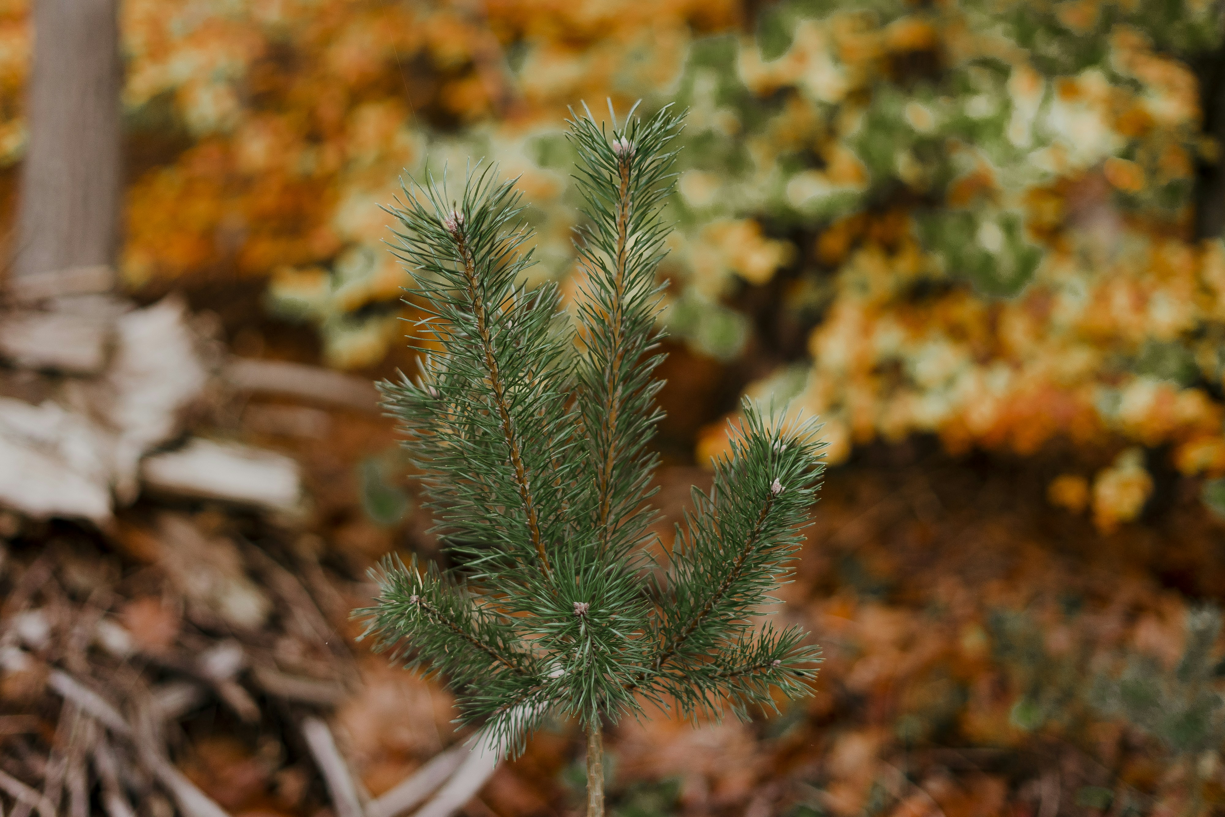 Photo by magali_merzougui