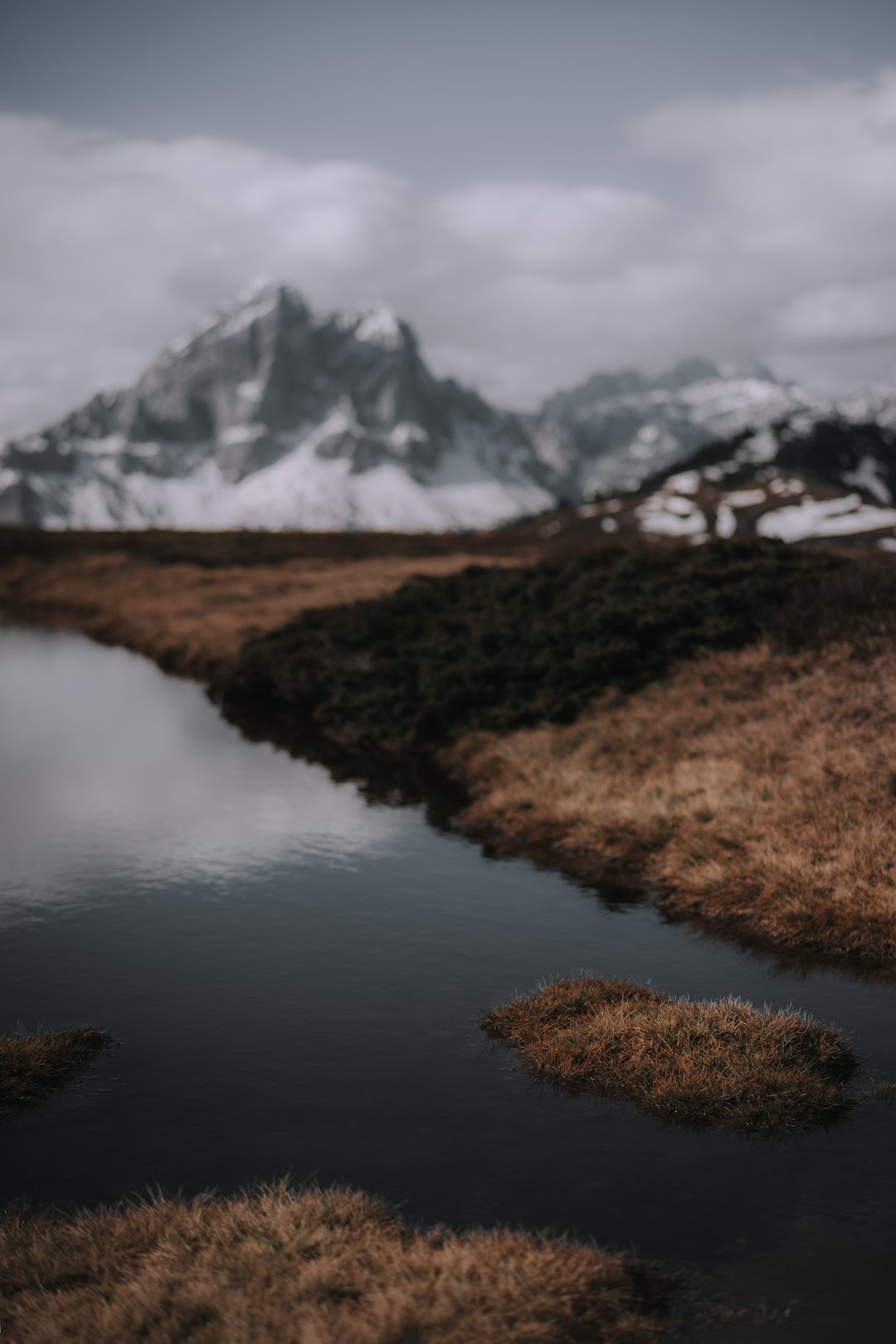 brown grass near lake and snow covered mountain during daytime