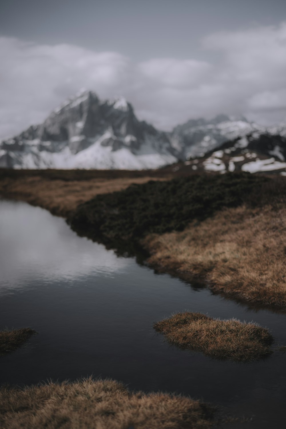 grama marrom perto do lago e da montanha coberta de neve durante o dia