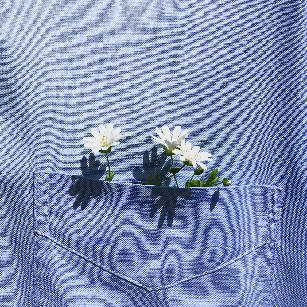 fiore bianco e giallo su tessuto denim blu