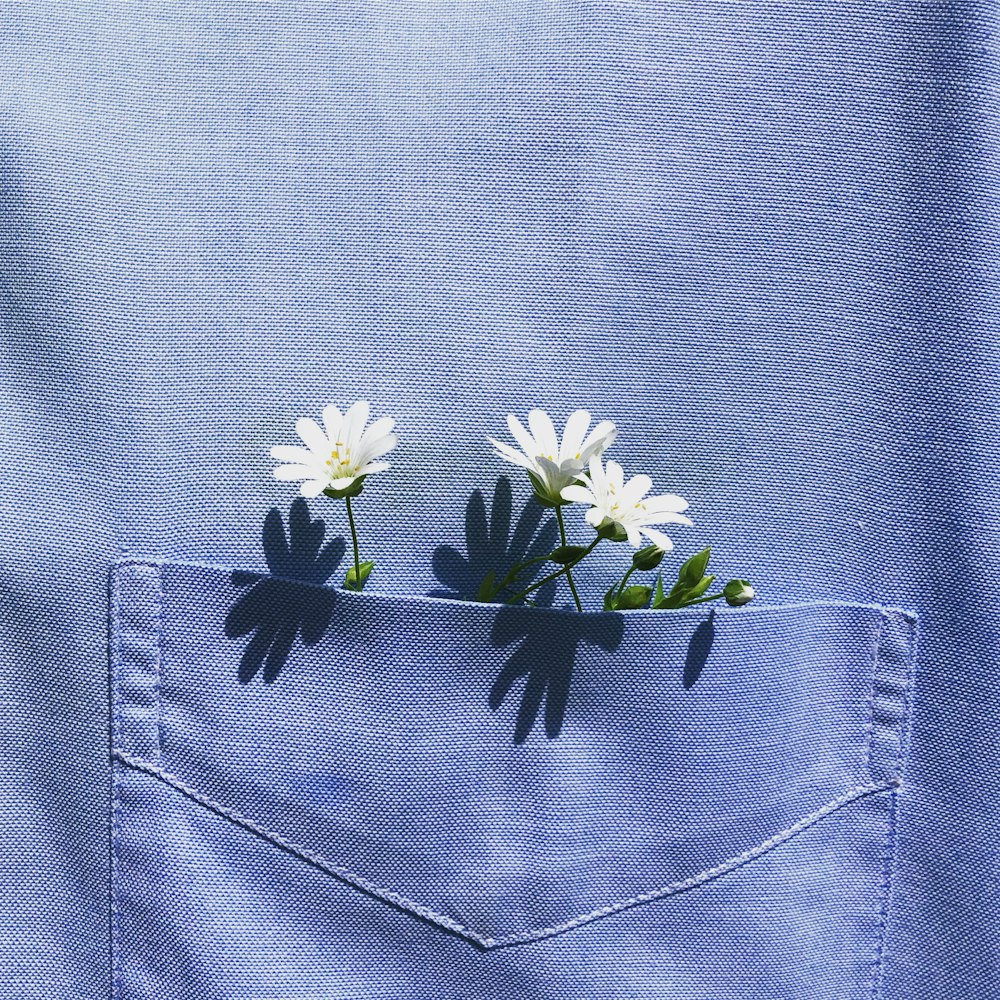 weiße und gelbe Blume auf blauem Denim-Textil