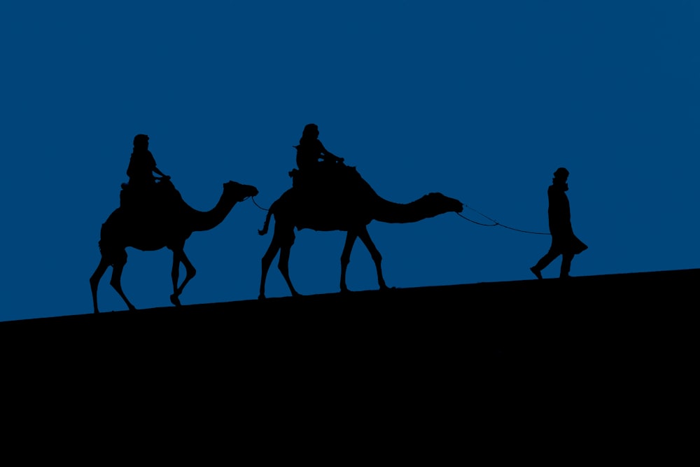 silhouette of people riding camel during daytime