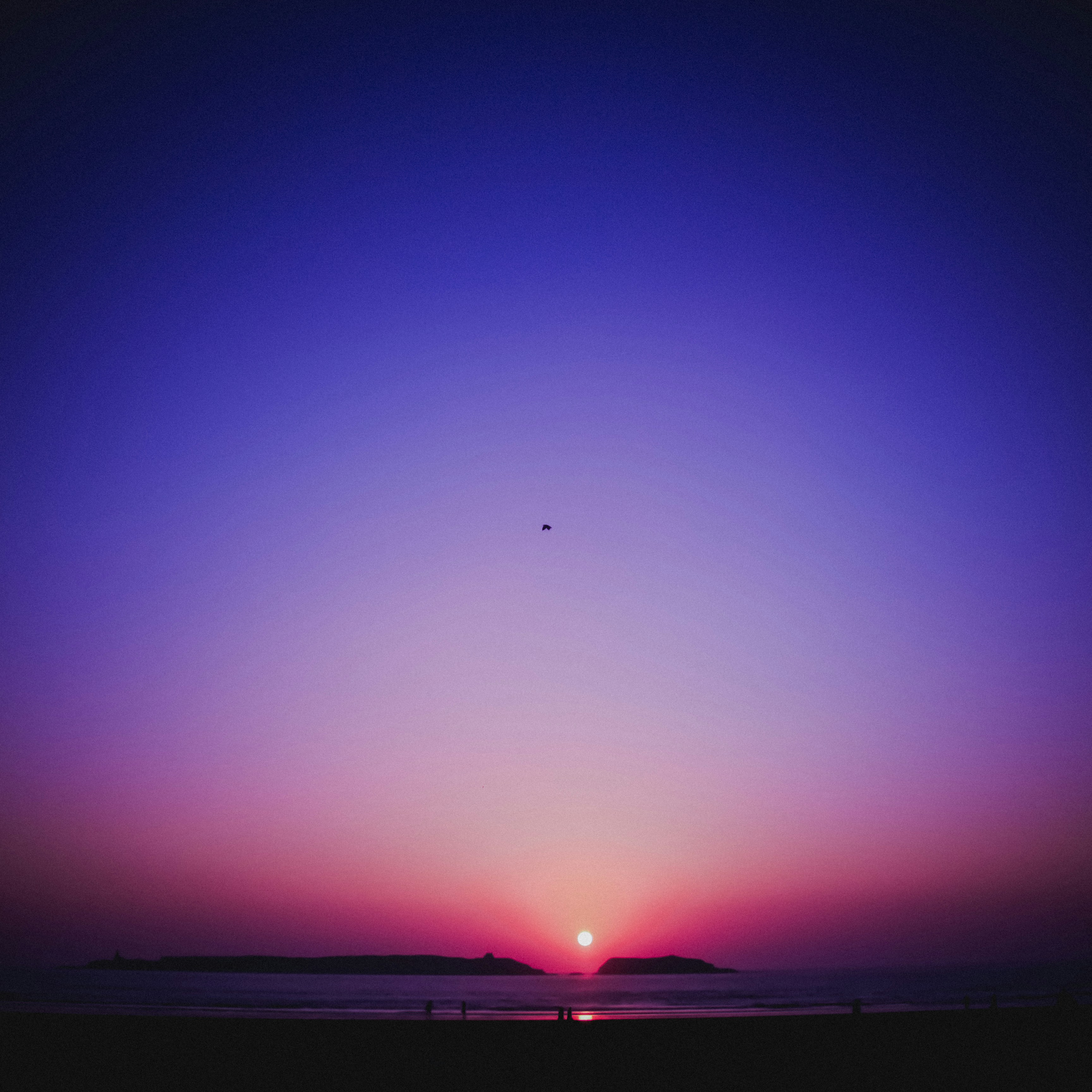 Cielo rojo y azul con relámpagos foto – Imagen de Animal gratuita en  Unsplash, image size:3000x3000