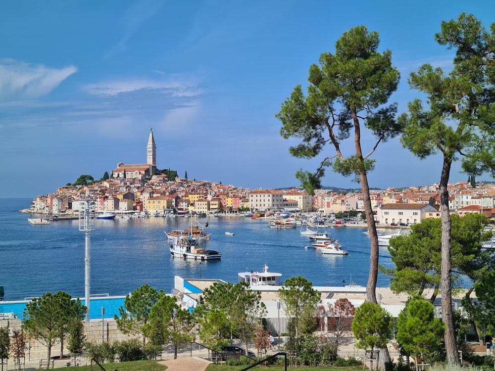 white and blue boat on sea near green trees and buildings under blue sky during daytime