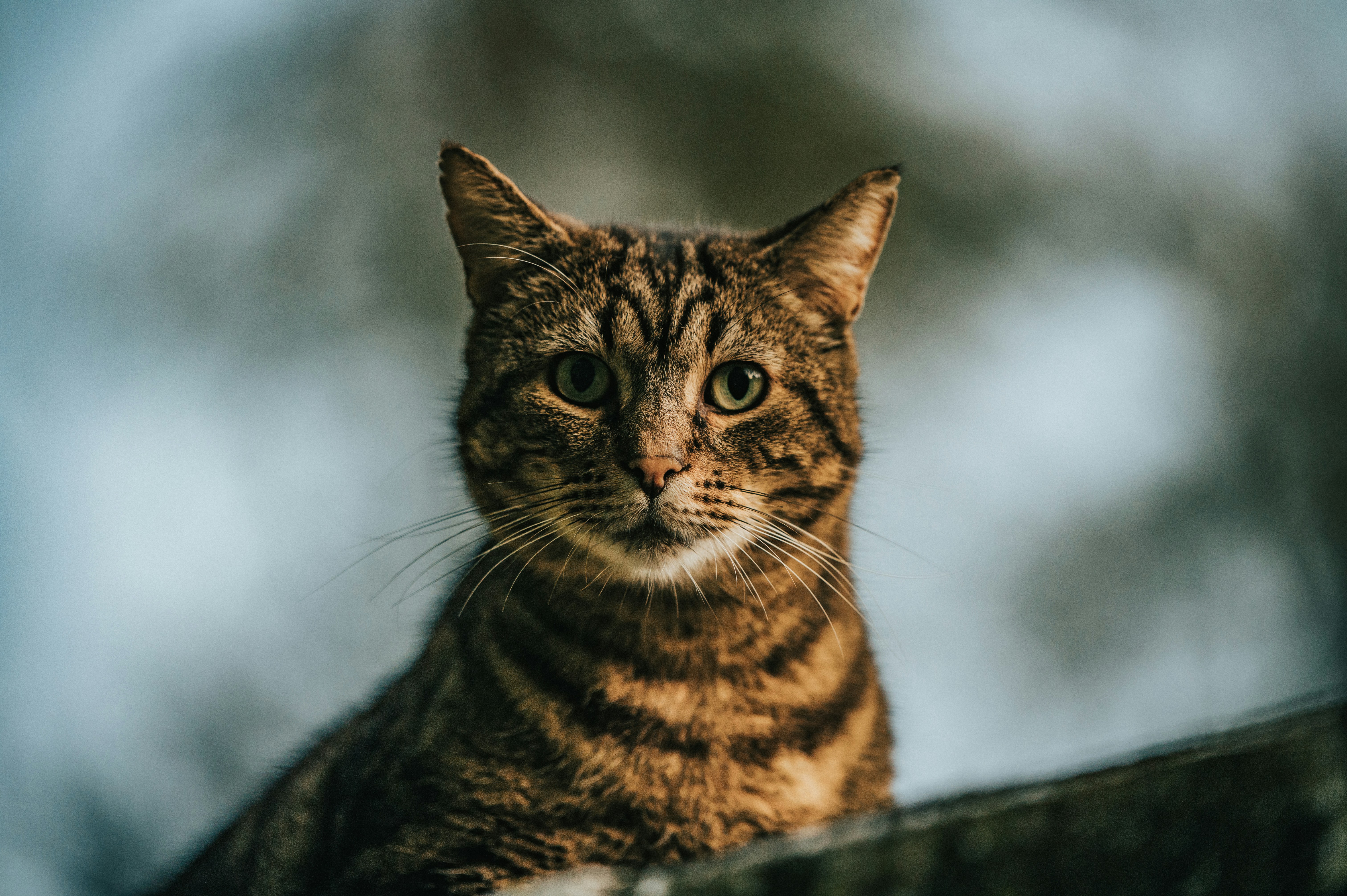 Photo by andreasbrun