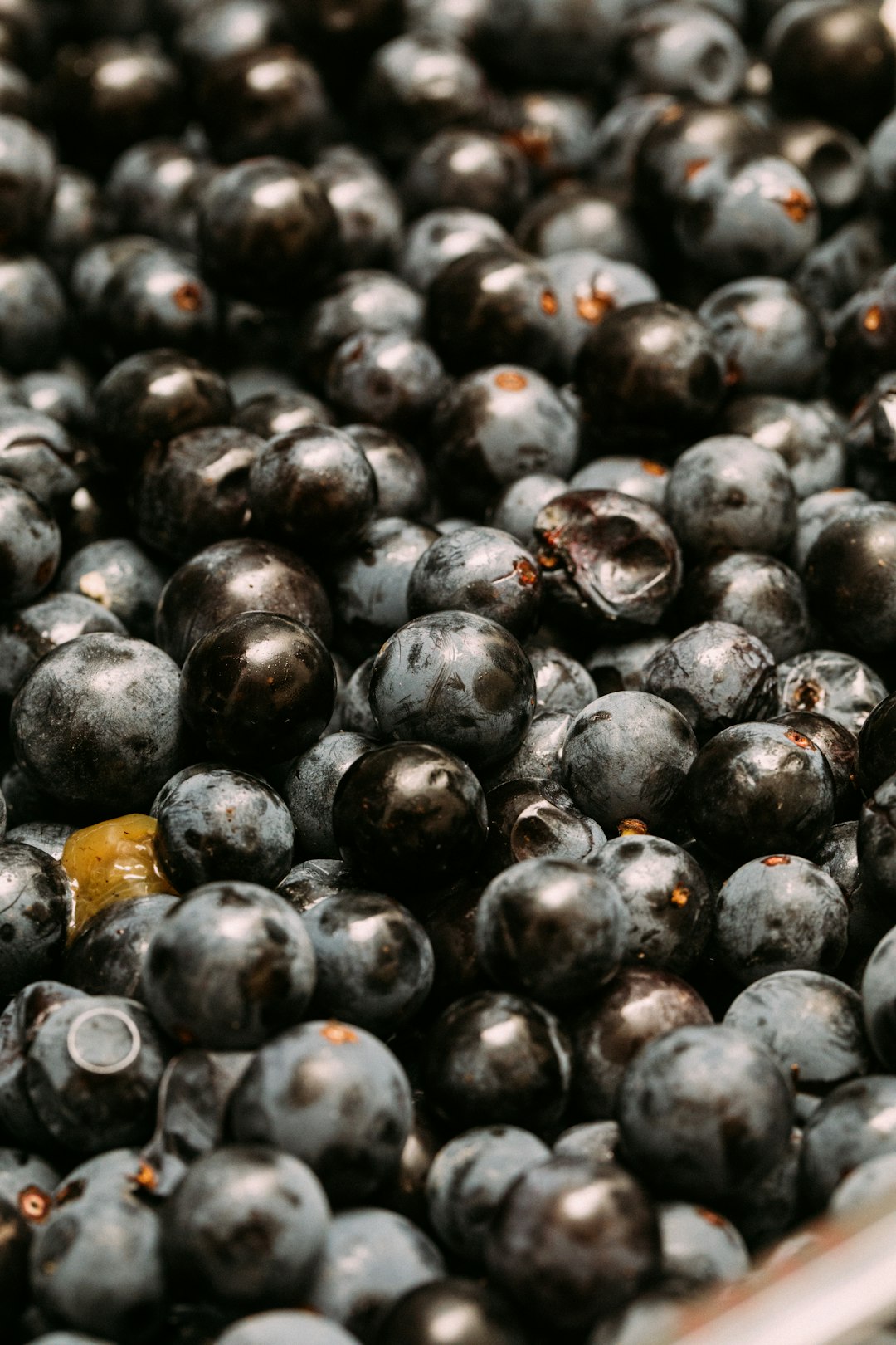 black round fruits in close up photography