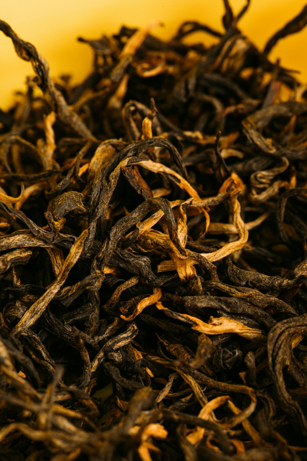 brown dried leaves on yellow surface